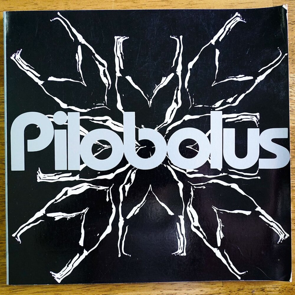 Pilobolus by Tim Matson